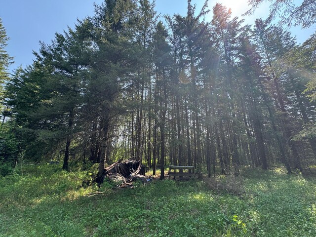 67237 County Road 230, Effie, MN 56639 - photo 26