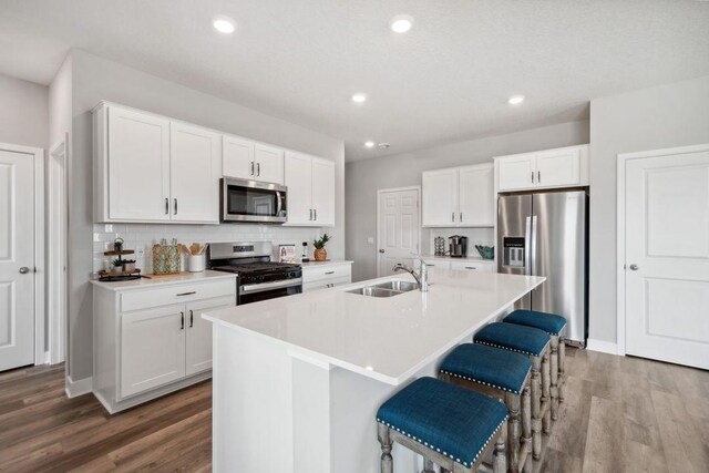 1030 Shoreview Dr, Jordan, MN 55352