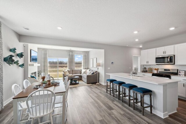 1030 Shoreview Dr, Jordan, MN 55352