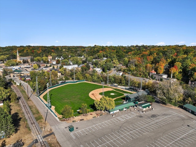 1019 Shoreview Dr, Jordan, MN 55352 - aerial view of a forest