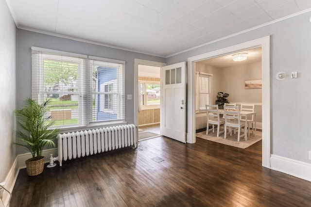 1137 Westminster St, Saint Paul, MN 55130 - unfurnished room with radiator, ornamental molding, dark wood-type flooring, and plenty of natural light