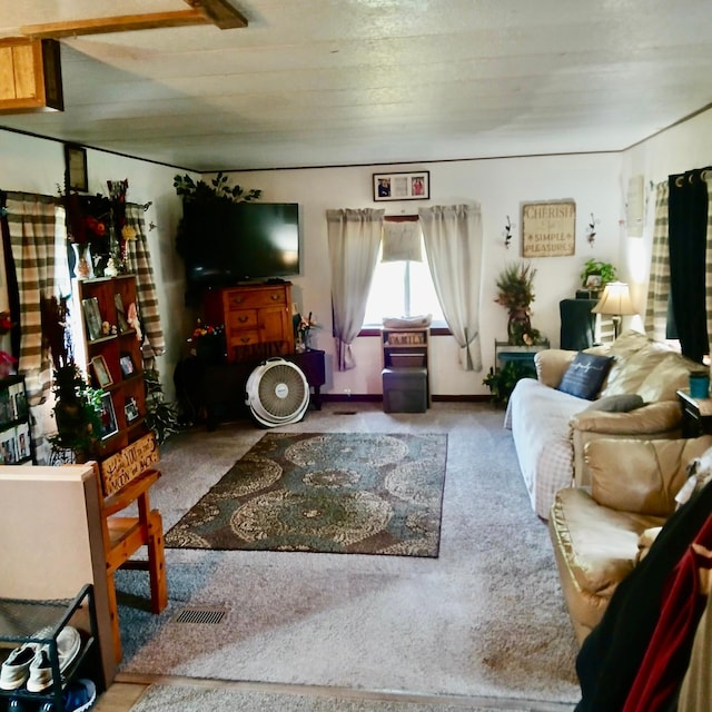 128 Park Cir, Ottertail, MN 56571 - view of carpeted living area