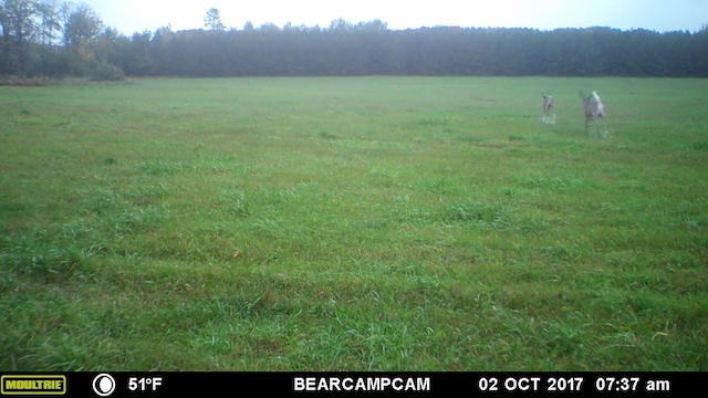TBD Sage Dr NW, Backus, MN 56435