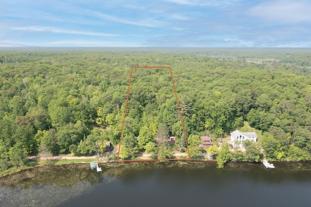 5489 Forest Ridge Rd, Garrison, MN 56450