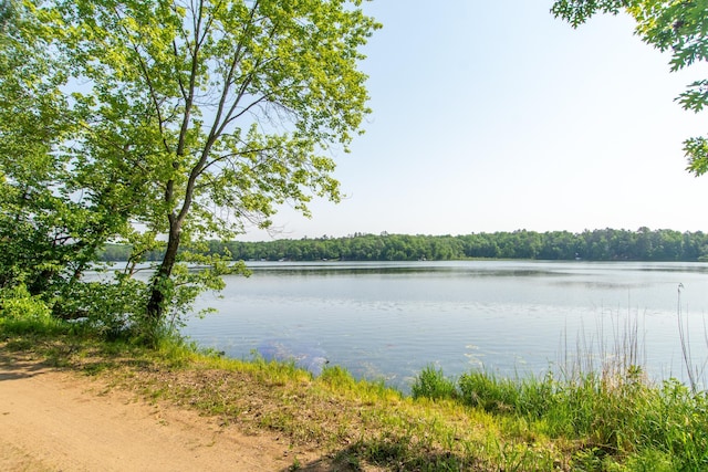 5489 Forest Ridge Rd, Garrison, MN 56450