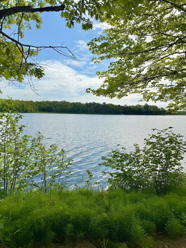 5489 Forest Ridge Rd, Garrison, MN 56450