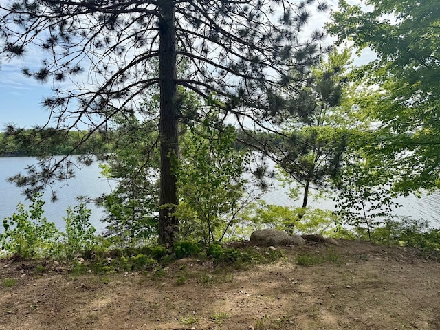 5489 Forest Ridge Rd, Garrison, MN 56450