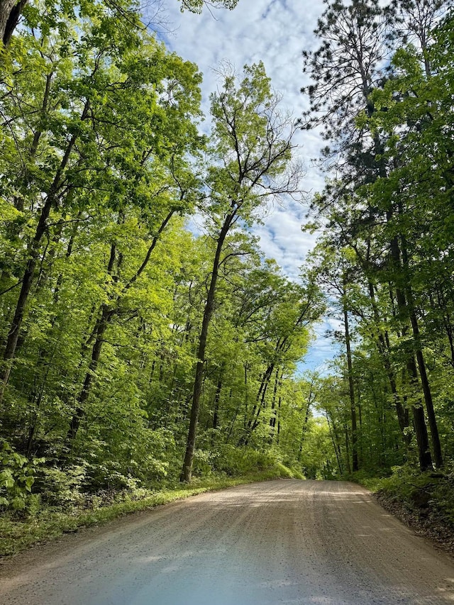 5489 Forest Ridge Rd, Garrison, MN 56450
