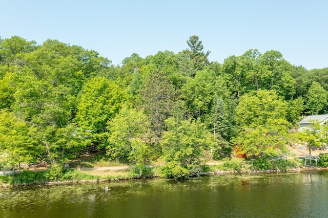 5489 Forest Ridge Rd, Garrison, MN 56450