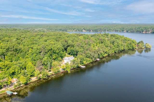 5489 Forest Ridge Rd, Garrison, MN 56450