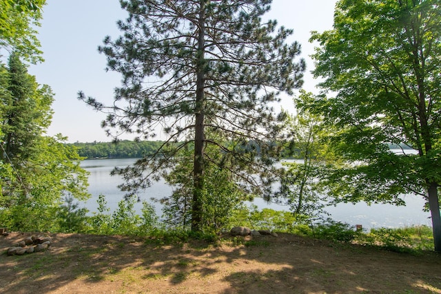 5489 Forest Ridge Rd, Garrison, MN 56450