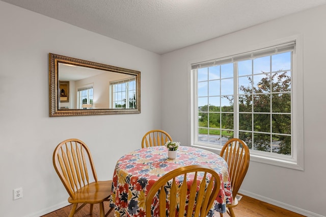 16047 72nd St NE, Otsego, MN 55330 - dining room featuring healthy amount of natural light, baseboards, wood finished floors, and a textured ceiling
