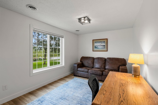 16047 72nd St NE, Otsego, MN 55330 - living room with wood finished floors, baseboards, and a textured ceiling