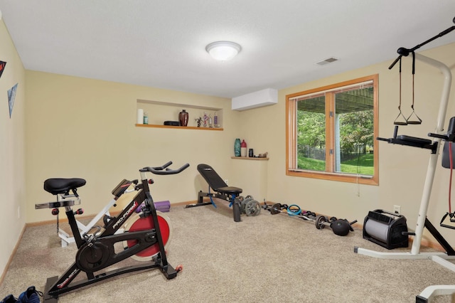 16976 81st Ave N, Maple Grove, MN 55311 - exercise room featuring carpet flooring and baseboards