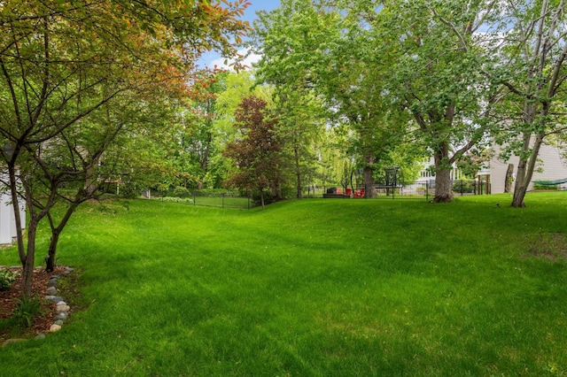 16976 81st Ave N, Maple Grove, MN 55311 - view of yard