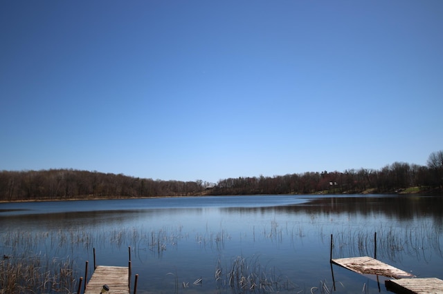 39817 Osage Dr, Browerville, MN 56438 - dock with a water view and a wooded view
