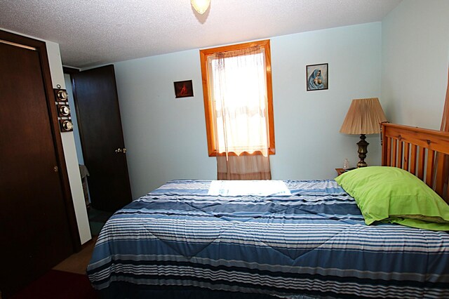 39817 Osage Dr, Browerville, MN 56438 - bedroom featuring a textured ceiling