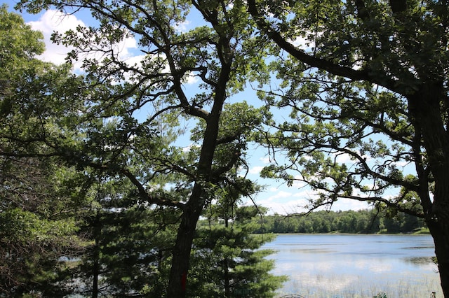 39817 Osage Dr, Browerville, MN 56438 - water view featuring a heavily wooded area