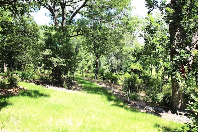 39817 Osage Dr, Browerville, MN 56438 - view of yard