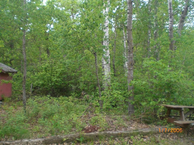 30667 Plumwood Trl, Breezy Point, MN 56472