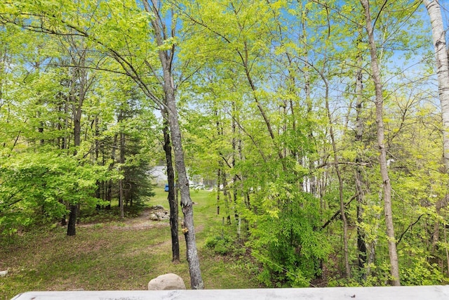 9407 St Odilia Beach Rd, Vermilion Lake Twp, MN 55790 - view of yard