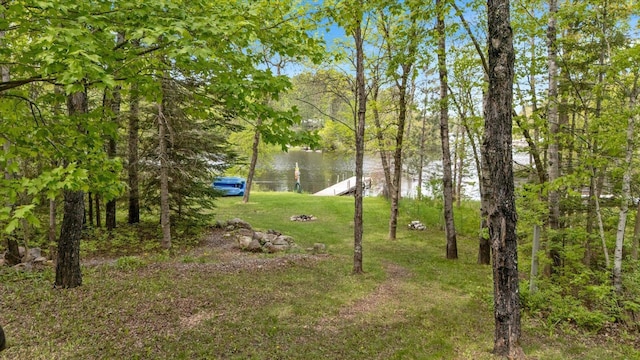 9407 St Odilia Beach Rd, Vermilion Lake Twp, MN 55790 - view of grassy yard featuring a water view and a boat dock