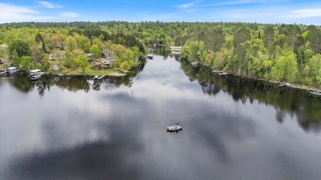 9407 St Odilia Beach Rd, Vermilion Lake Twp, MN 55790 - water view with a forest