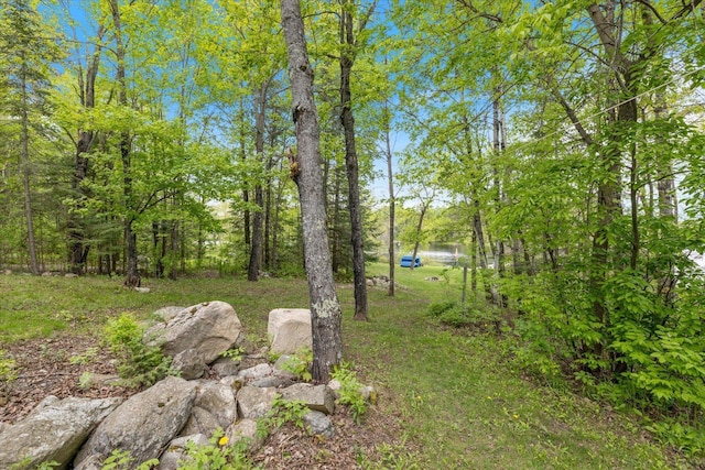 9407 St Odilia Beach Rd, Vermilion Lake Twp, MN 55790 - view of yard
