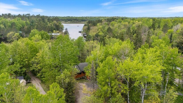 9407 St Odilia Beach Rd, Vermilion Lake Twp, MN 55790 - bird's eye view of a forest and a nearby body of water
