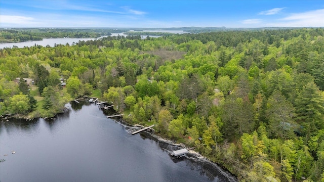 9407 St Odilia Beach Rd, Vermilion Lake Twp, MN 55790 - aerial view of property's location featuring a large body of water