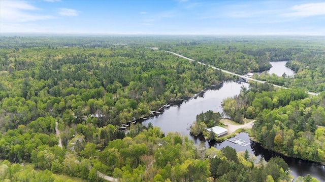 9407 St Odilia Beach Rd, Vermilion Lake Twp, MN 55790 - drone / aerial view of a heavily wooded area and a nearby body of water