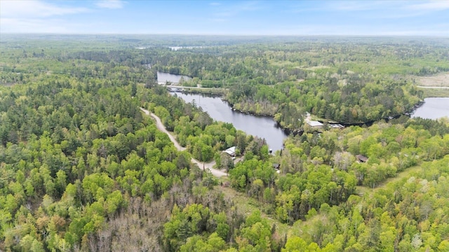 9407 St Odilia Beach Rd, Vermilion Lake Twp, MN 55790 - aerial overview of property's location featuring a forest and a large body of water