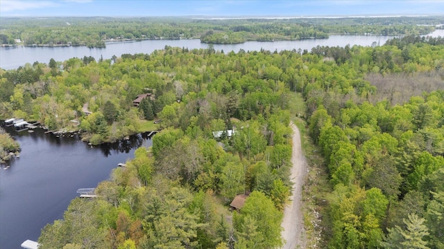9407 St Odilia Beach Rd, Vermilion Lake Twp, MN 55790 - aerial overview of property's location with a forest and a large body of water