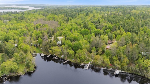 9407 St Odilia Beach Rd, Vermilion Lake Twp, MN 55790 - aerial overview of property's location featuring a heavily wooded area and a large body of water