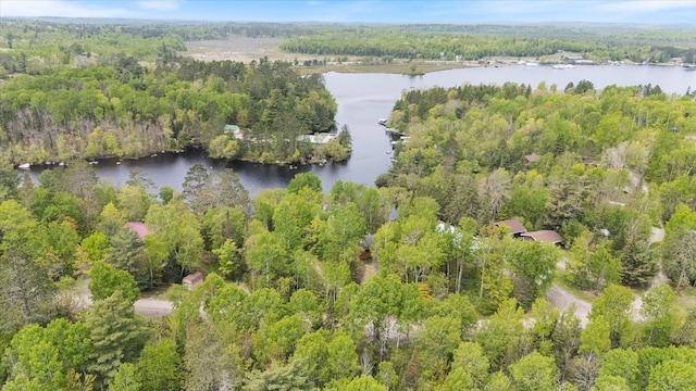 9407 St Odilia Beach Rd, Vermilion Lake Twp, MN 55790 - aerial overview of property's location with a nearby body of water and a forest