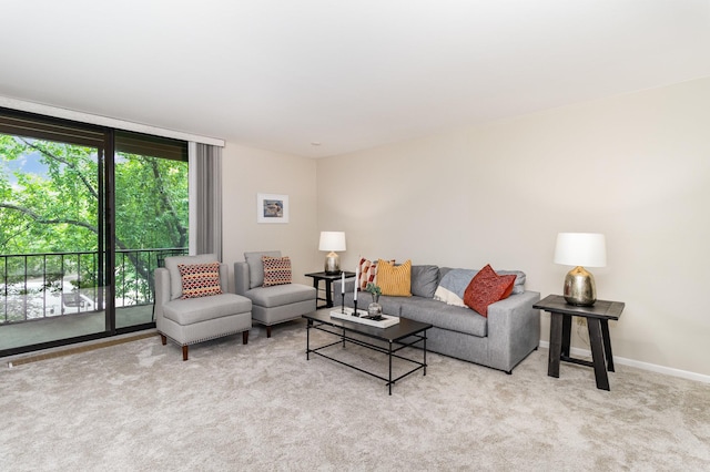 6085 Lincoln Dr Unit 220, Edina, MN 55436 - carpeted living room with baseboards