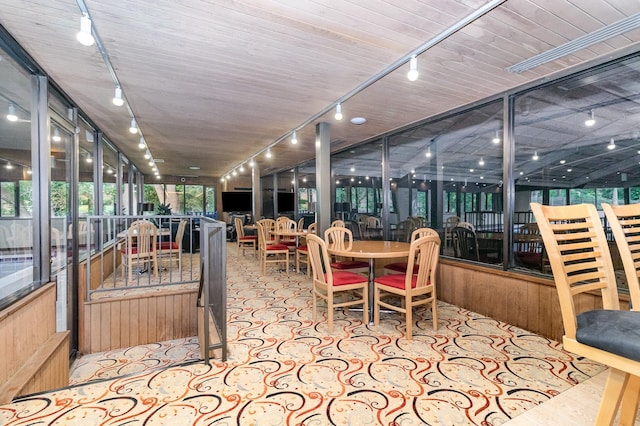 6085 Lincoln Dr Unit 220, Edina, MN 55436 - sunroom featuring rail lighting
