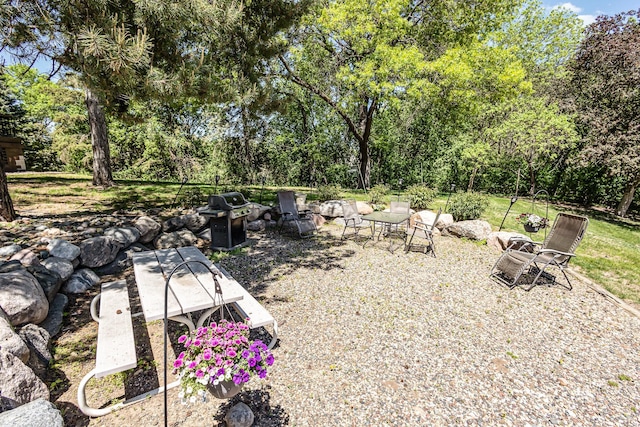 6085 Lincoln Dr Unit 220, Edina, MN 55436 - view of yard with an outdoor fire pit and view of scattered trees
