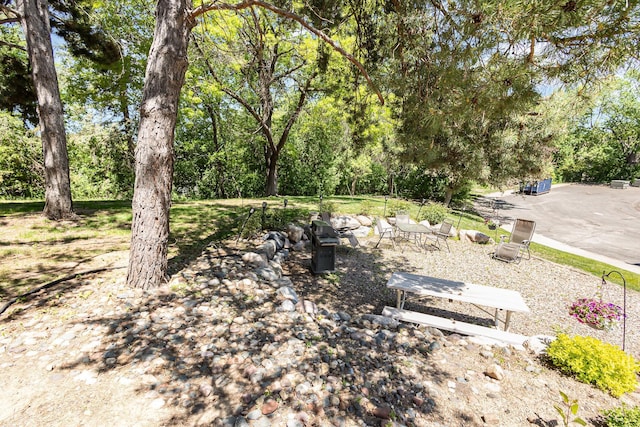 6085 Lincoln Dr Unit 220, Edina, MN 55436 - view of yard with a patio and view of wooded area