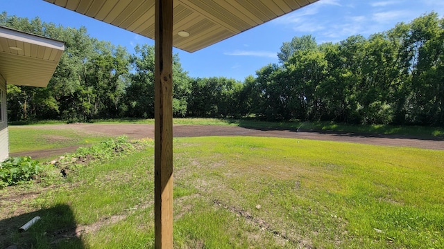 8800 86th Ave N, Greenfield, MN 55373 - view of grassy yard