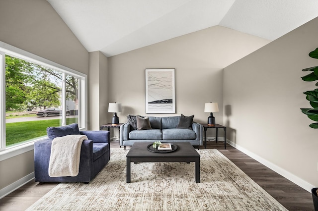 3825 122nd Ave NW, Coon Rapids, MN 55433 - living room featuring lofted ceiling, wood finished floors, and baseboards