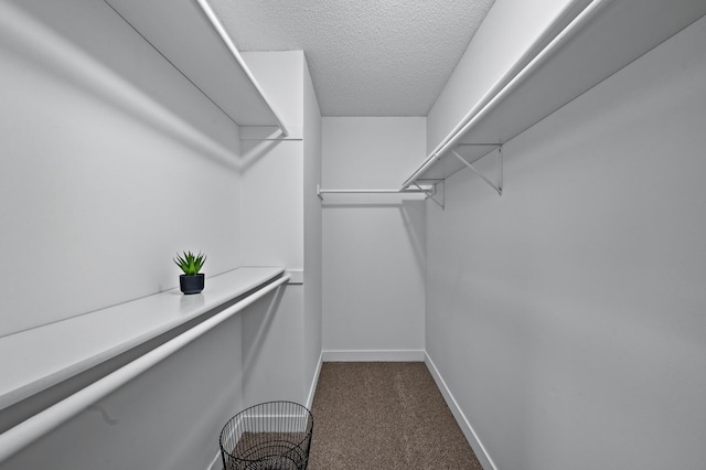 3825 122nd Ave NW, Coon Rapids, MN 55433 - spacious closet with dark colored carpet