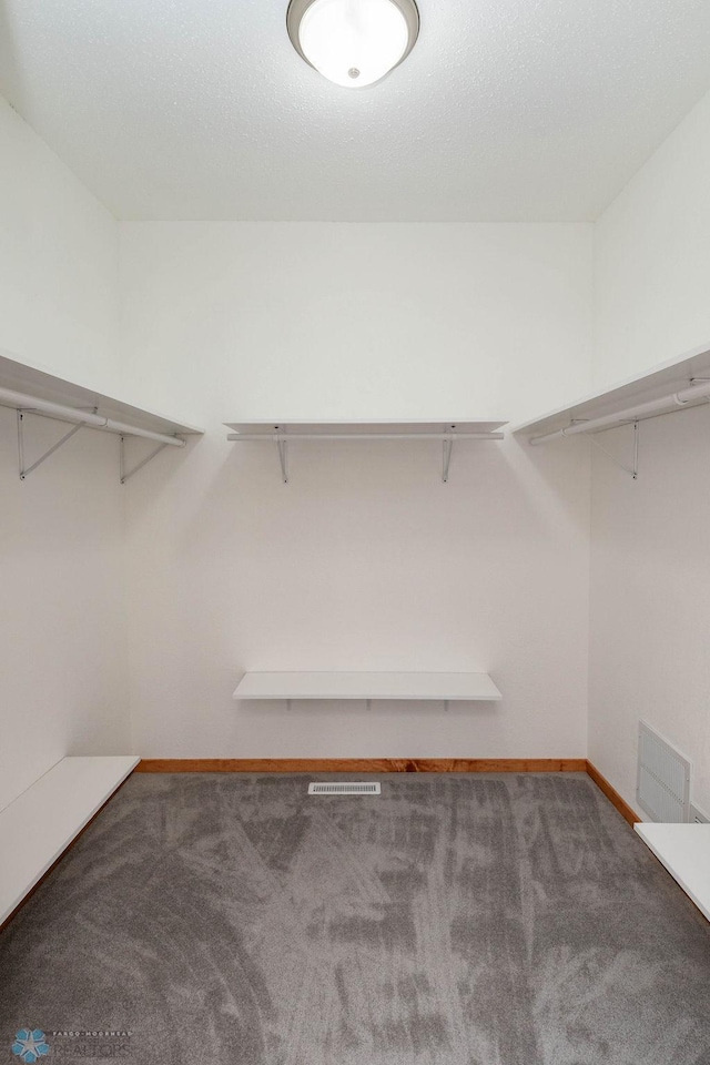 7214 Eagle Pointe Dr S, Fargo, ND 58104 - spacious closet with carpet