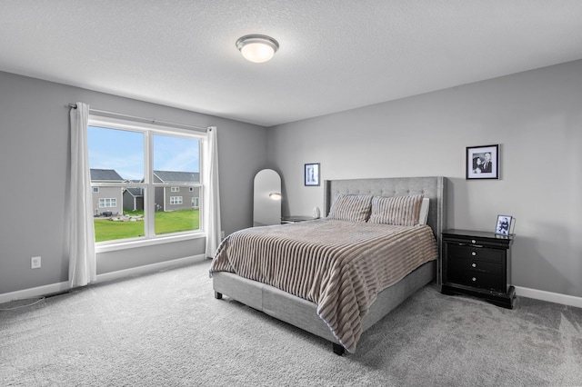 9842 51st St NE, Saint Michael, MN 55376 - bedroom with carpet floors, baseboards, and a textured ceiling