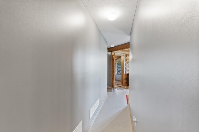 22165 Harlow Ave, Helena Twp, MN 55352 - view of corridor