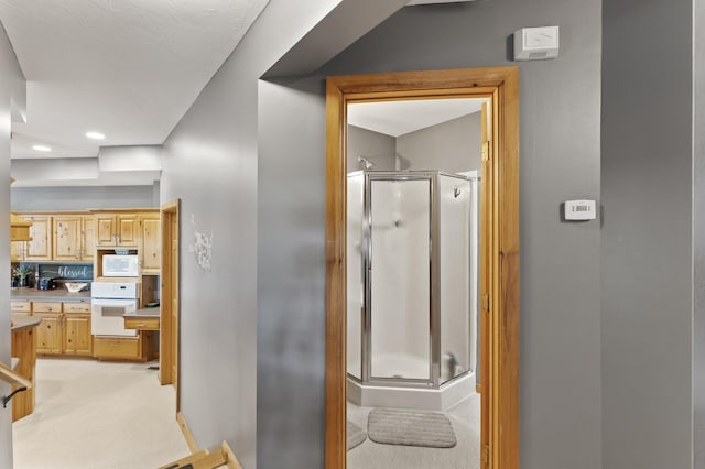 22165 Harlow Ave, Helena Twp, MN 55352 - corridor with light colored carpet and baseboards