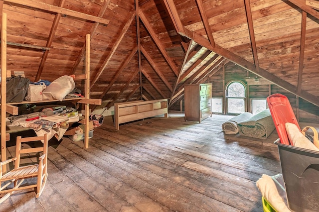 113 7th Ave SE, Elbow Lake, MN 56531 - view of unfinished attic