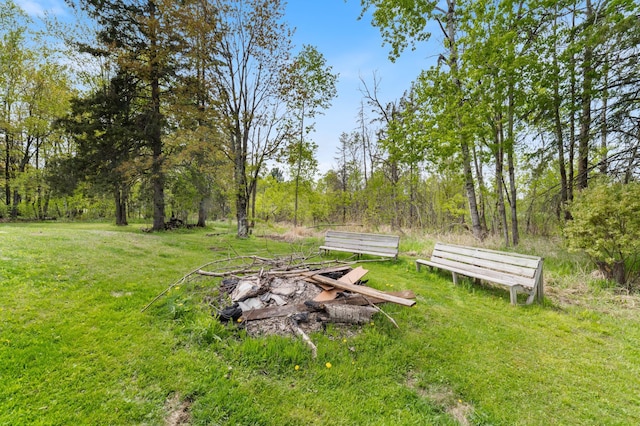 185 Wagon Rd, Esko, MN 55733 - view of green lawn