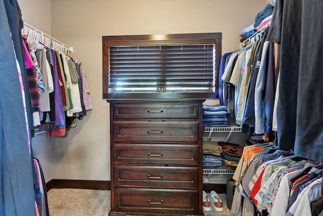 227 Maple Ln, Jordan, MN 55352 - spacious closet with carpet