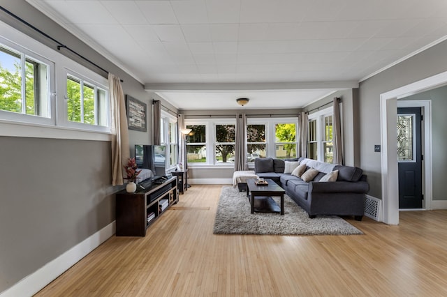 473 4th St, Winona, MN 55987 - living area with light wood-style flooring, baseboards, and crown molding